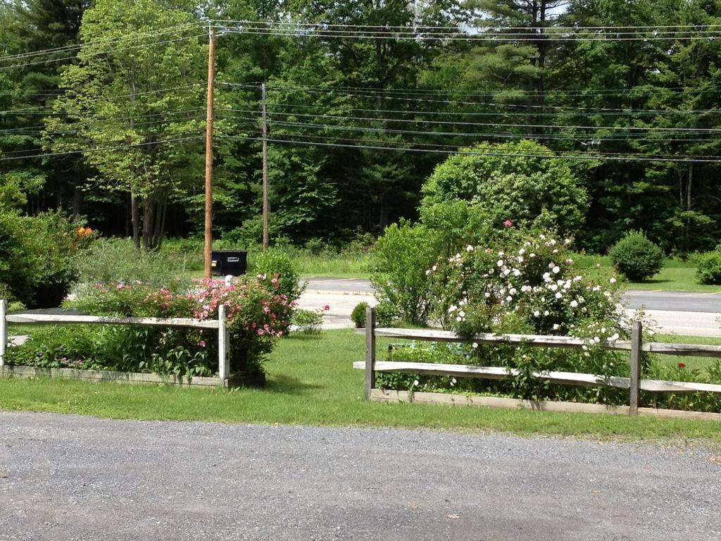 Mcgregor Inn Motel Wilton Εξωτερικό φωτογραφία