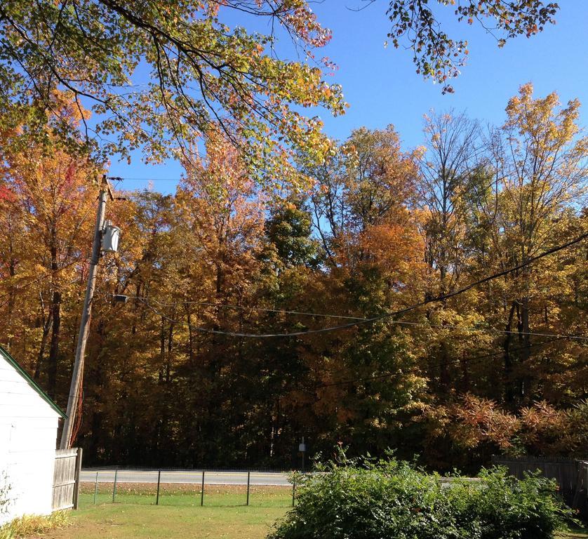 Mcgregor Inn Motel Wilton Εξωτερικό φωτογραφία