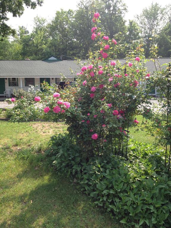 Mcgregor Inn Motel Wilton Εξωτερικό φωτογραφία